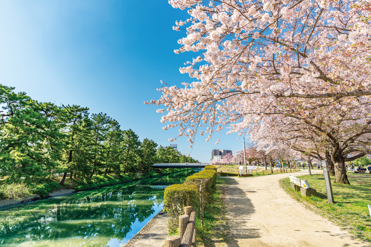 まつばら綾瀬川公園 まつばら綾瀬川公園