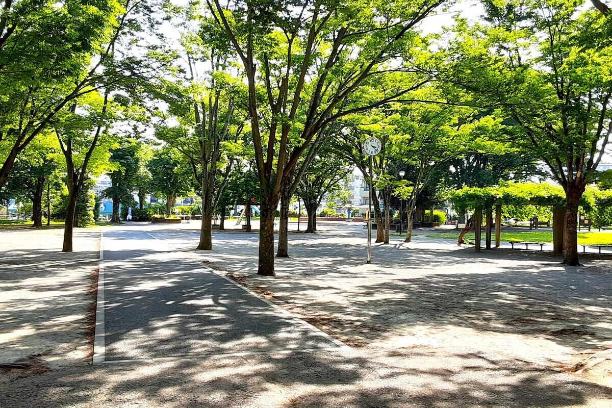 天王台西公園 天王台西公園