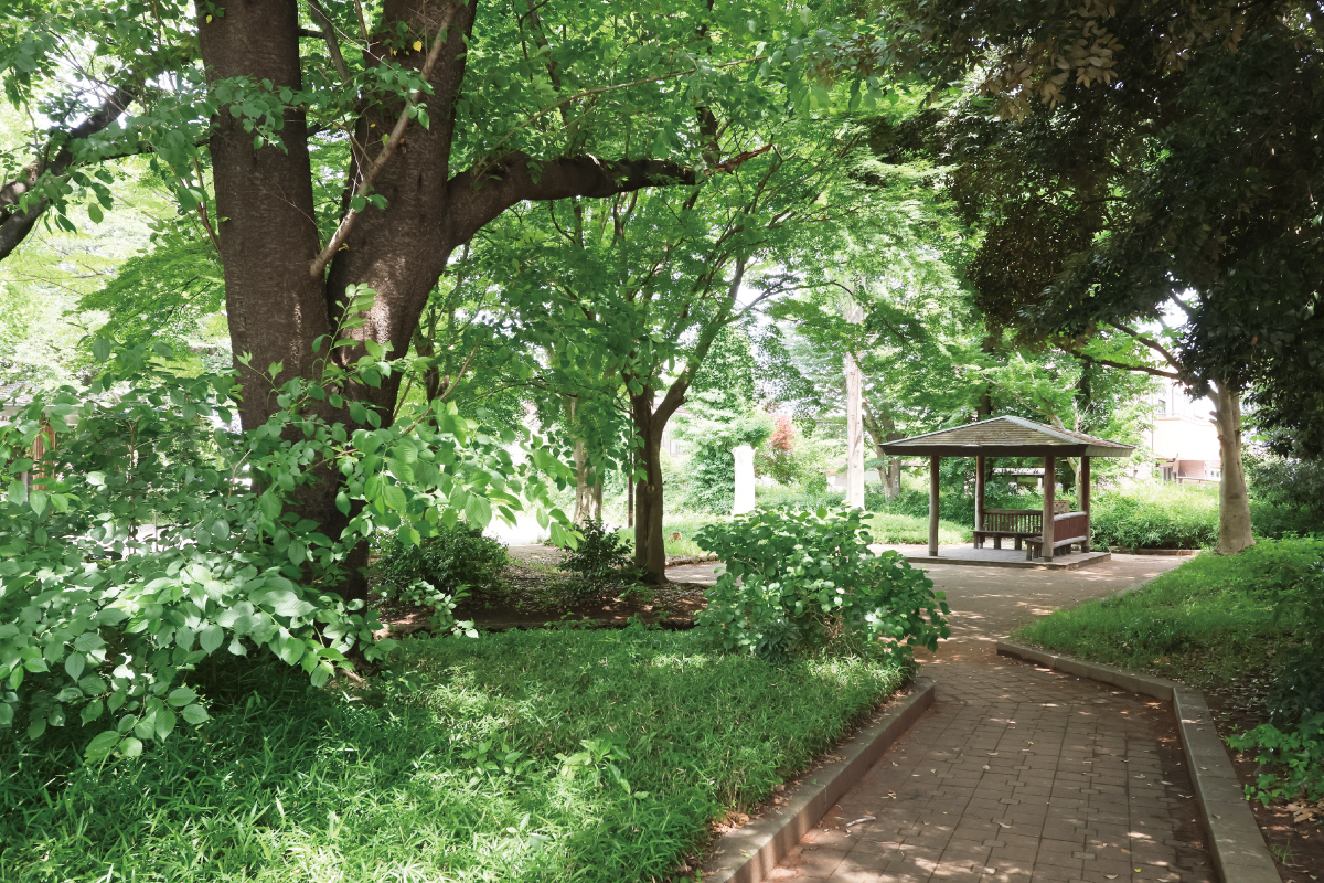 南山公園 南山公園