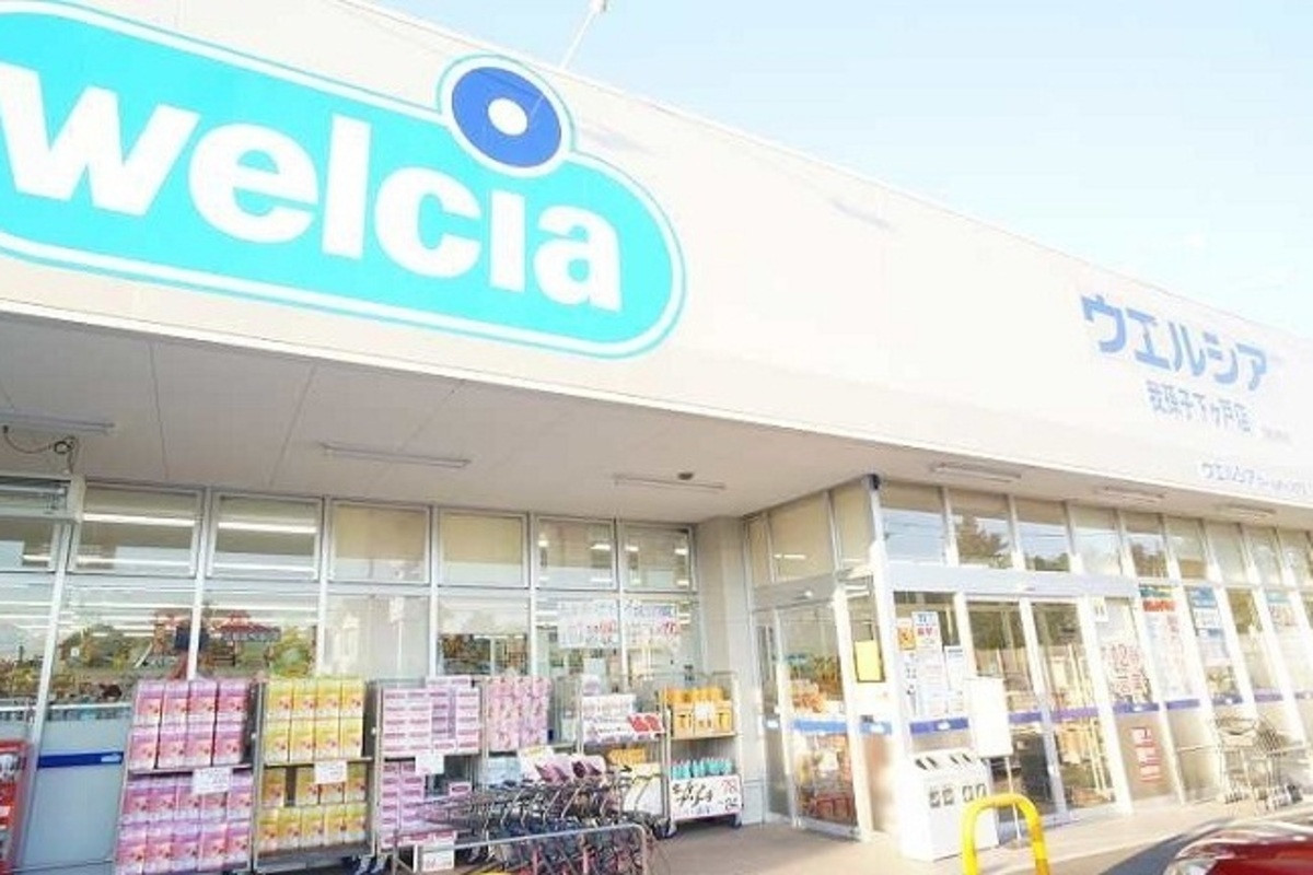 ウエルシア　我孫子下ヶ戸店