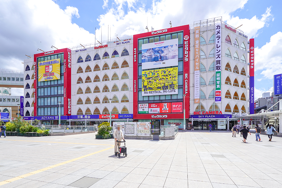 ビックカメラ柏店