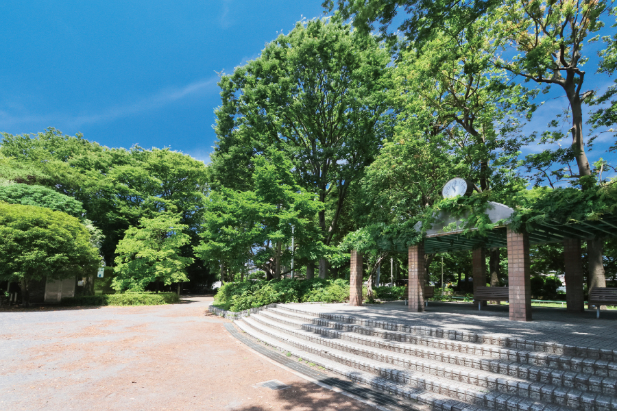 大泉公園