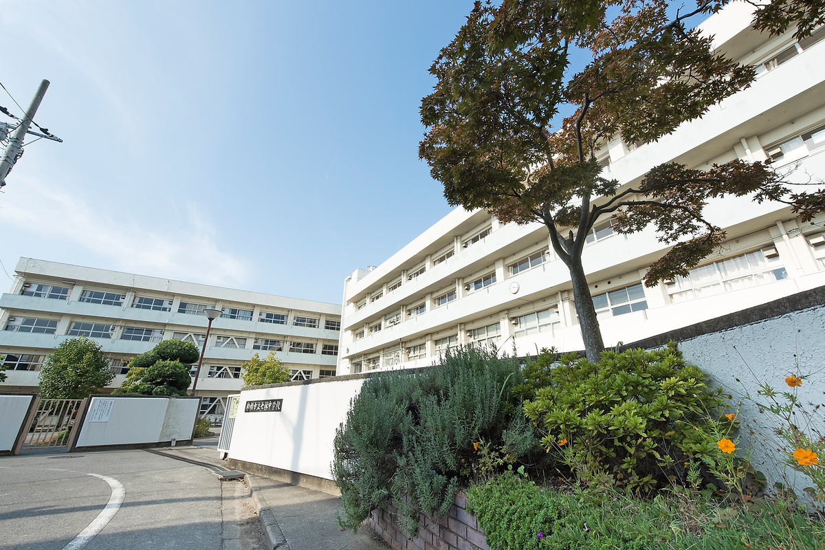 七林中学校 七林中学校
