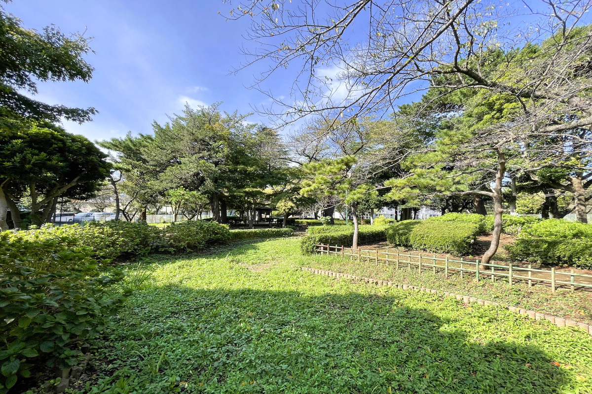 薬円台公園 薬円台公園