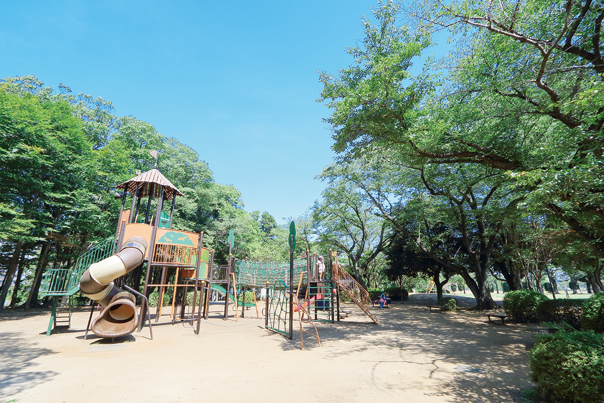 流山セントラルパーク(流山市総合運動公園) 流山セントラルパーク(流山市総合運動公園)