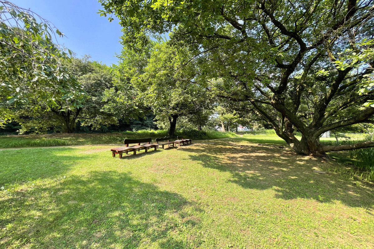 清瀬金山緑地公園