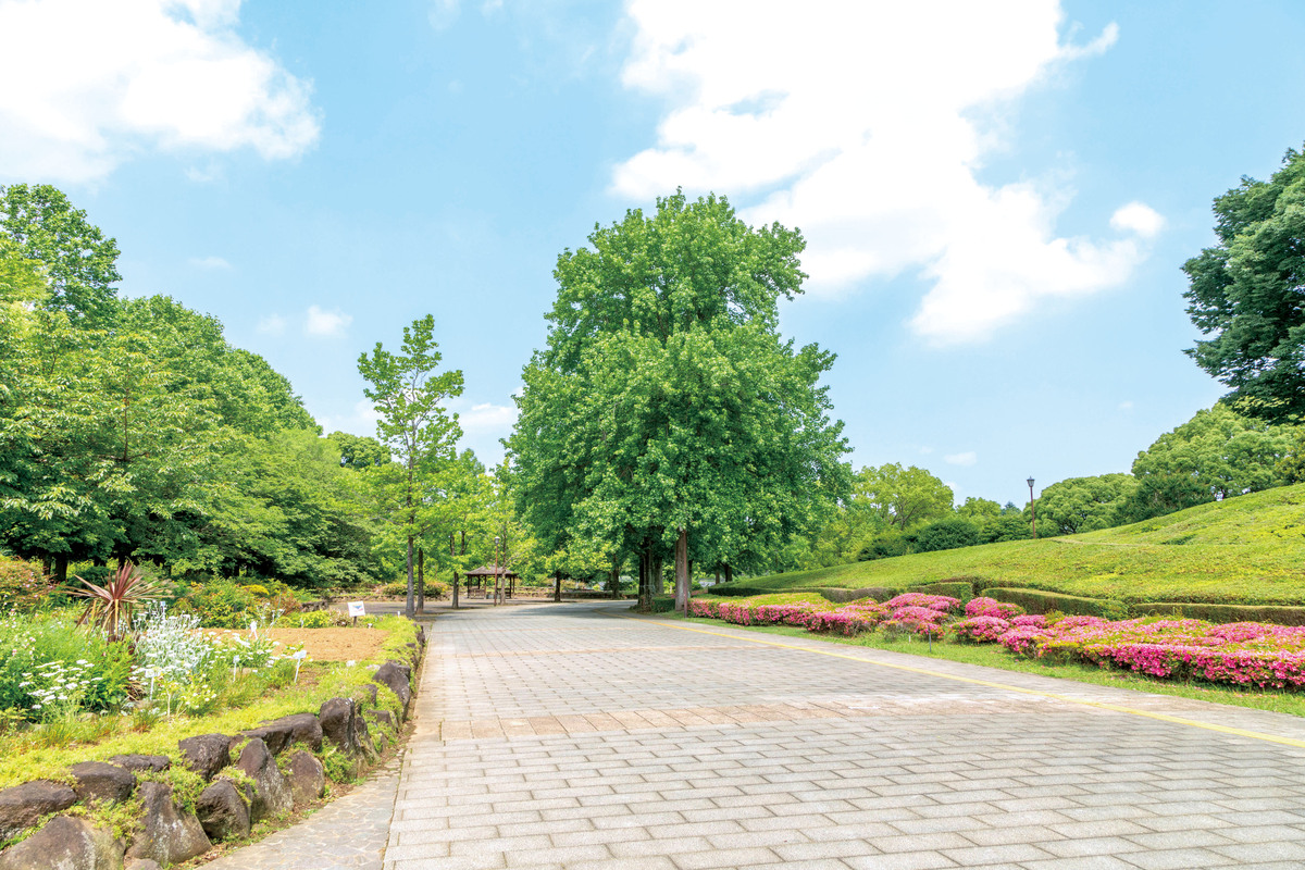 千葉県立柏の葉公園