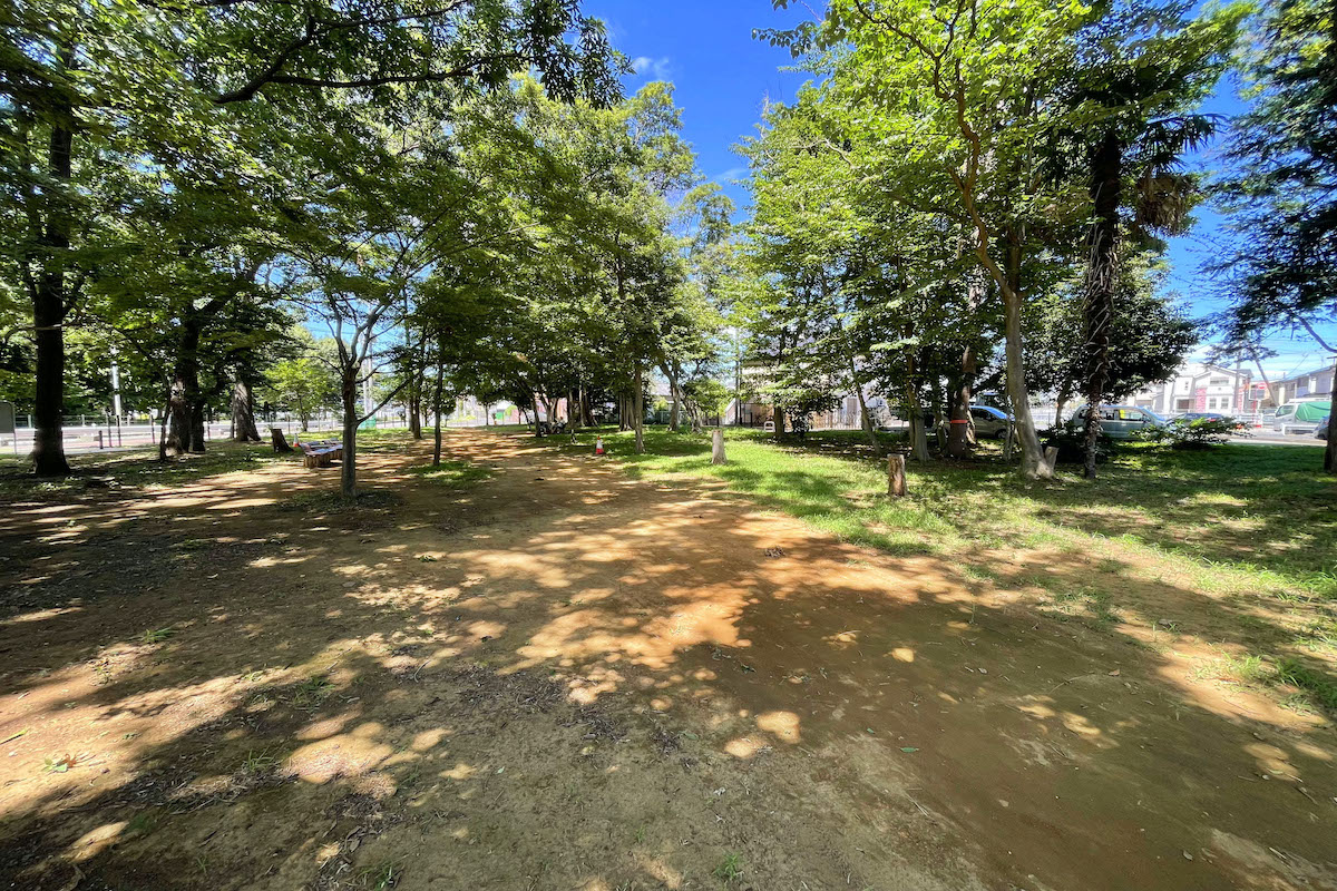 丸山三丁目ふれあいの森公園 丸山三丁目ふれあいの森公園