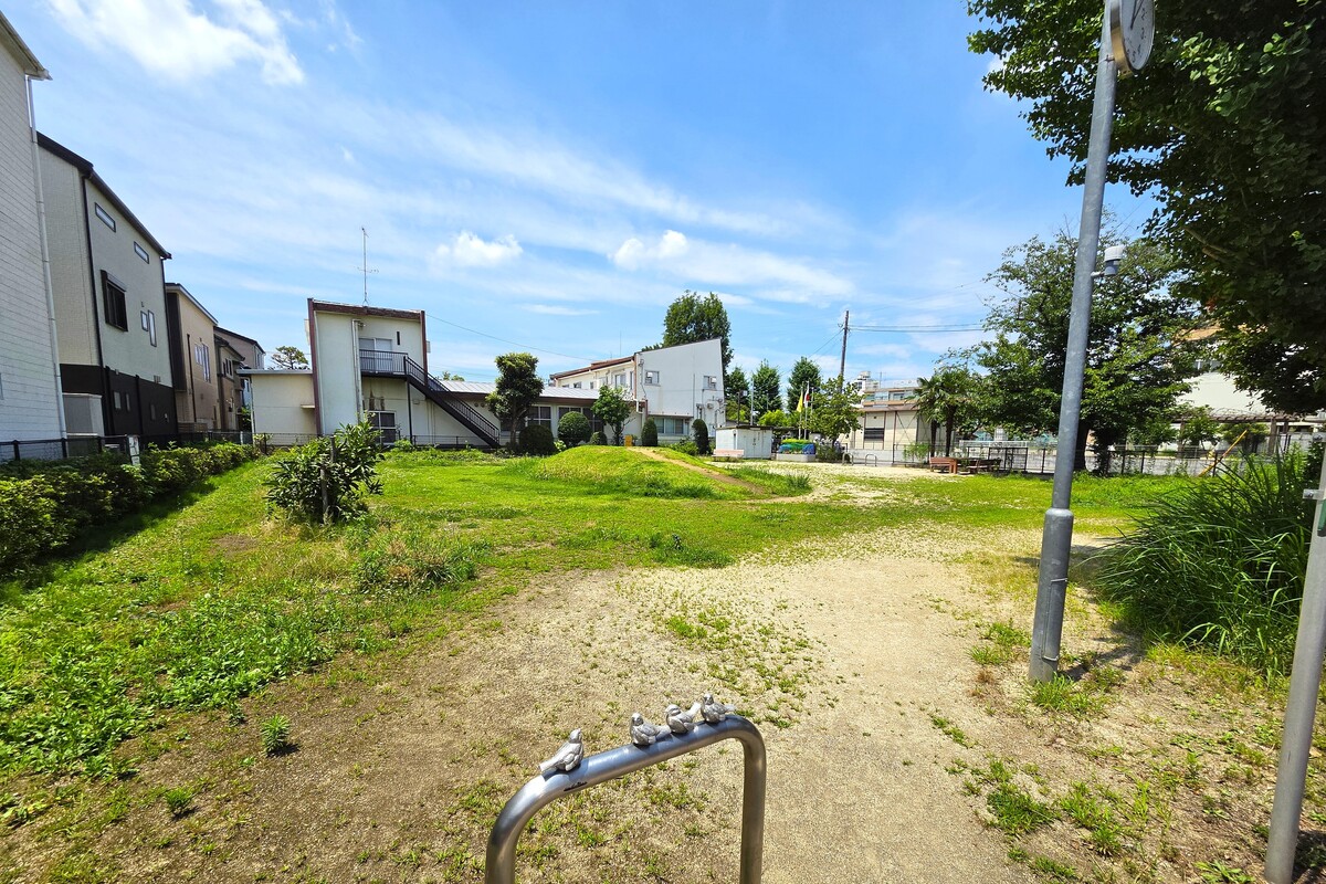 芝富士ふれあい公園 芝富士ふれあい公園