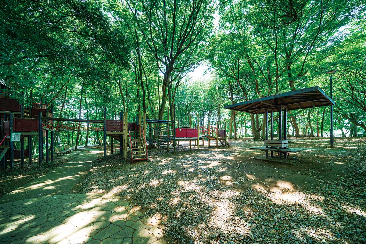 田喜野井公園 田喜野井公園