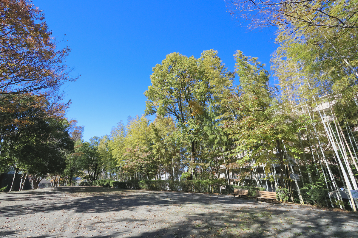 加2号公園 加2号公園