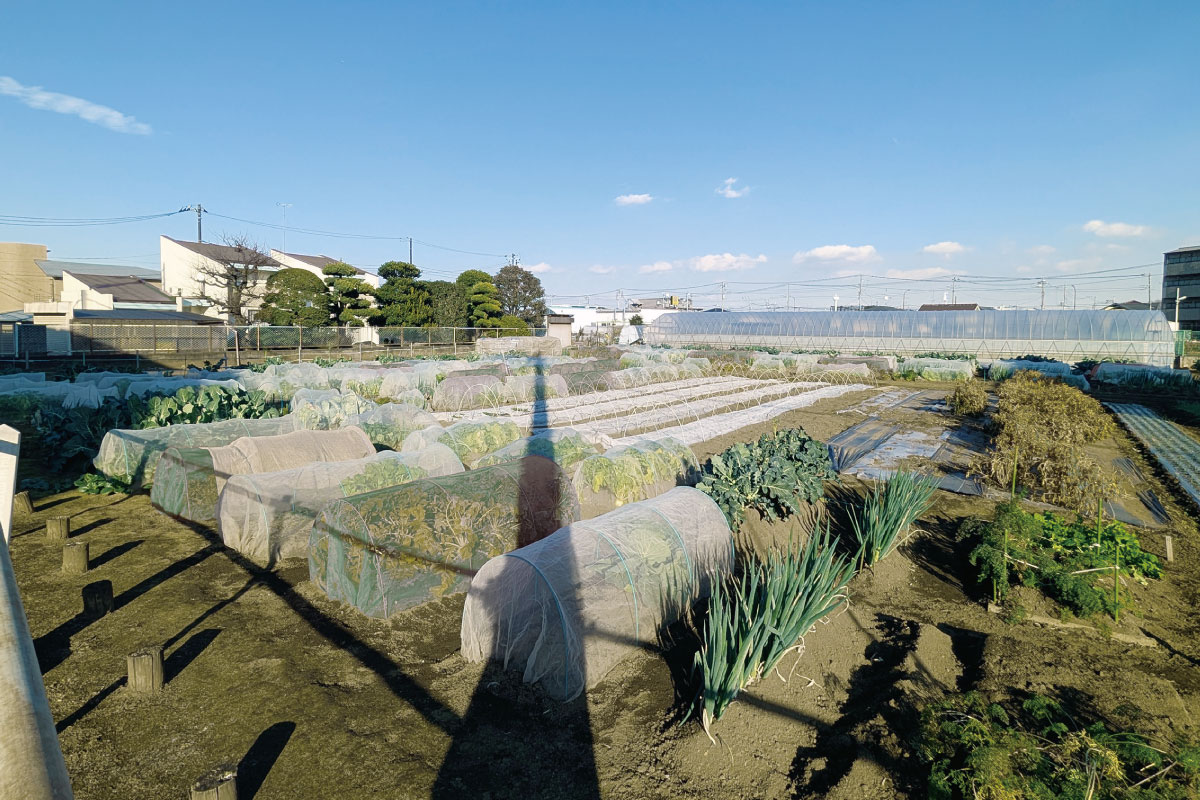 農業体験農園「きたっぱら」 農業体験農園「きたっぱら」