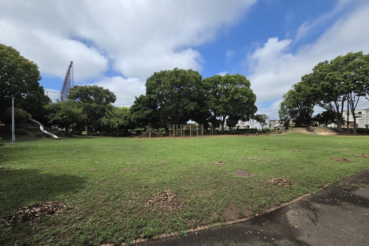 東初石2号緑地(わんぱく公園) 東初石2号緑地(わんぱく公園)