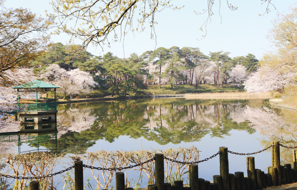 【大宮公園】 【大宮公園】