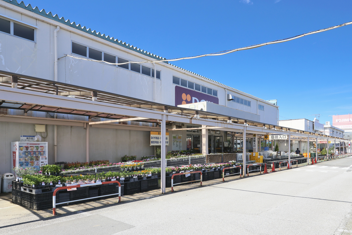DCM三咲店 DCM三咲店