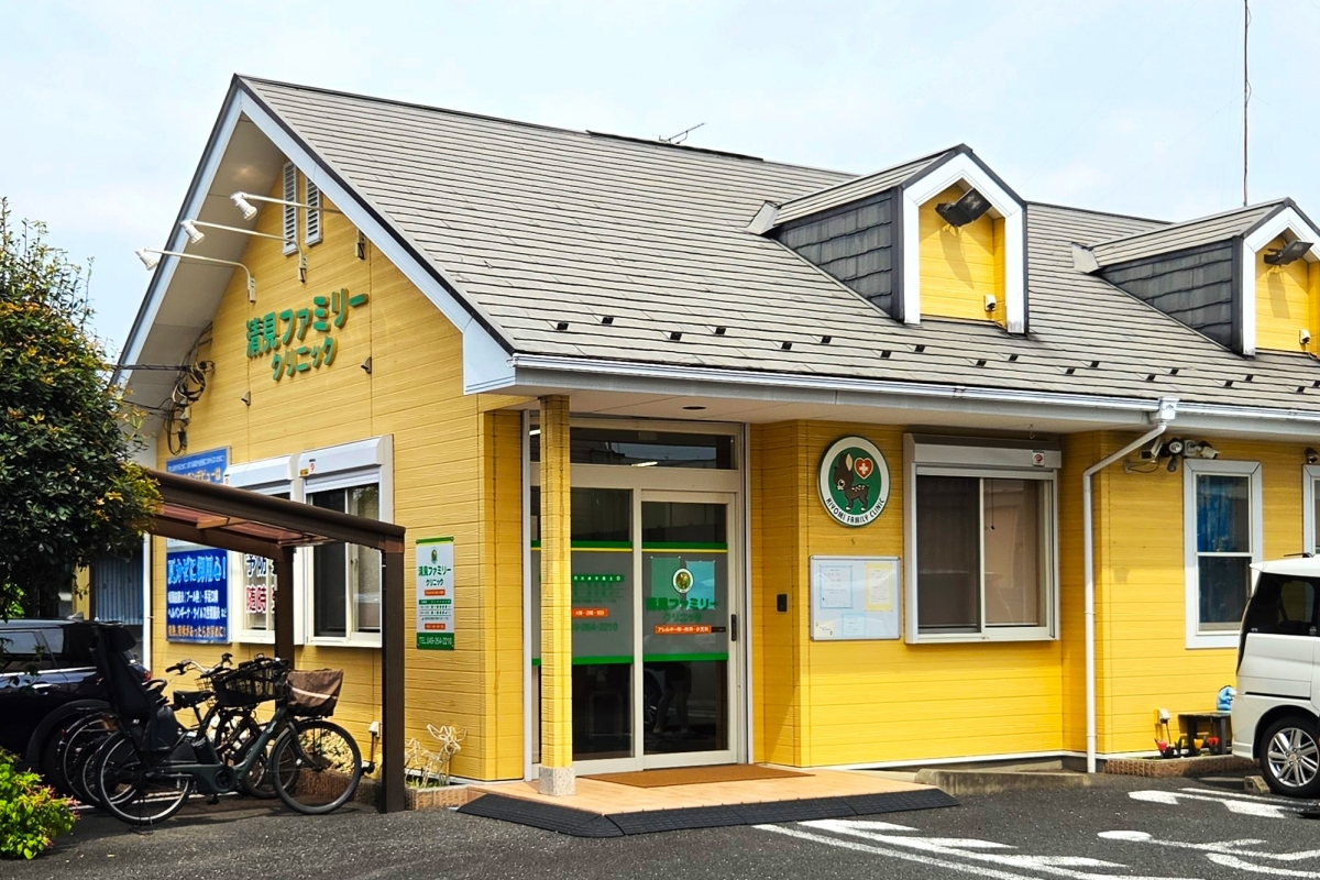清見ファミリークリニック 清見ファミリークリニック