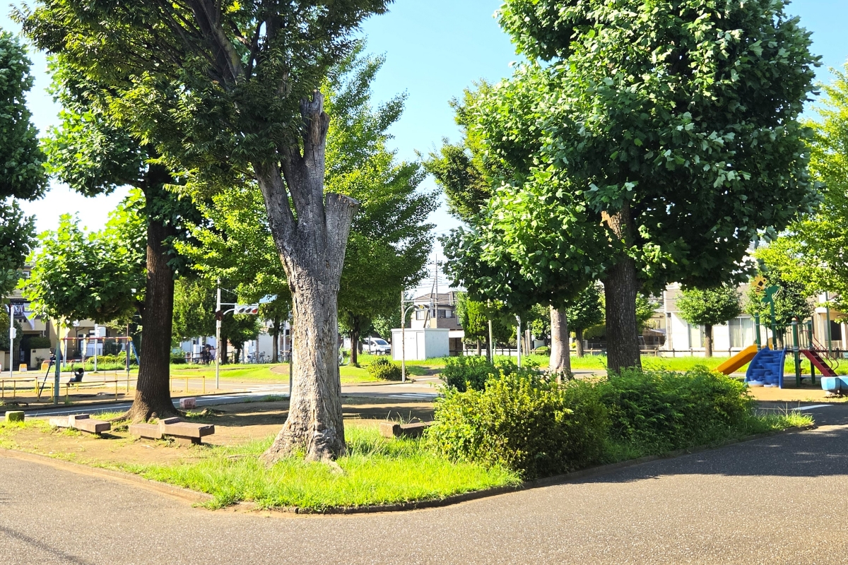 清美第1公園 清美第1公園