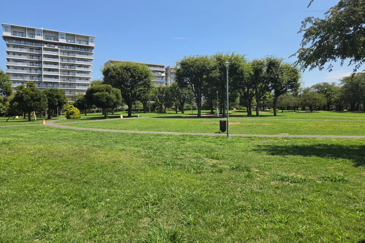 福岡中央公園 福岡中央公園