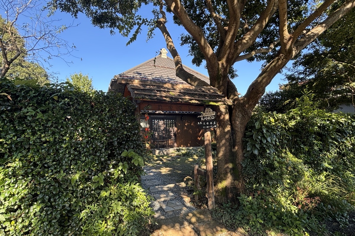 紡ぎの家大島 cafe BLANCO 紡ぎの家大島 cafe BLANCO