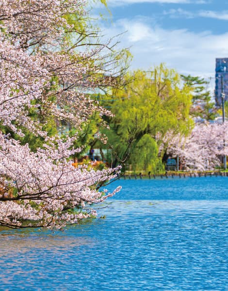 石神井公園（徒歩7分・490m）