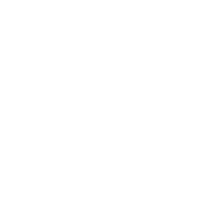 Plan 8