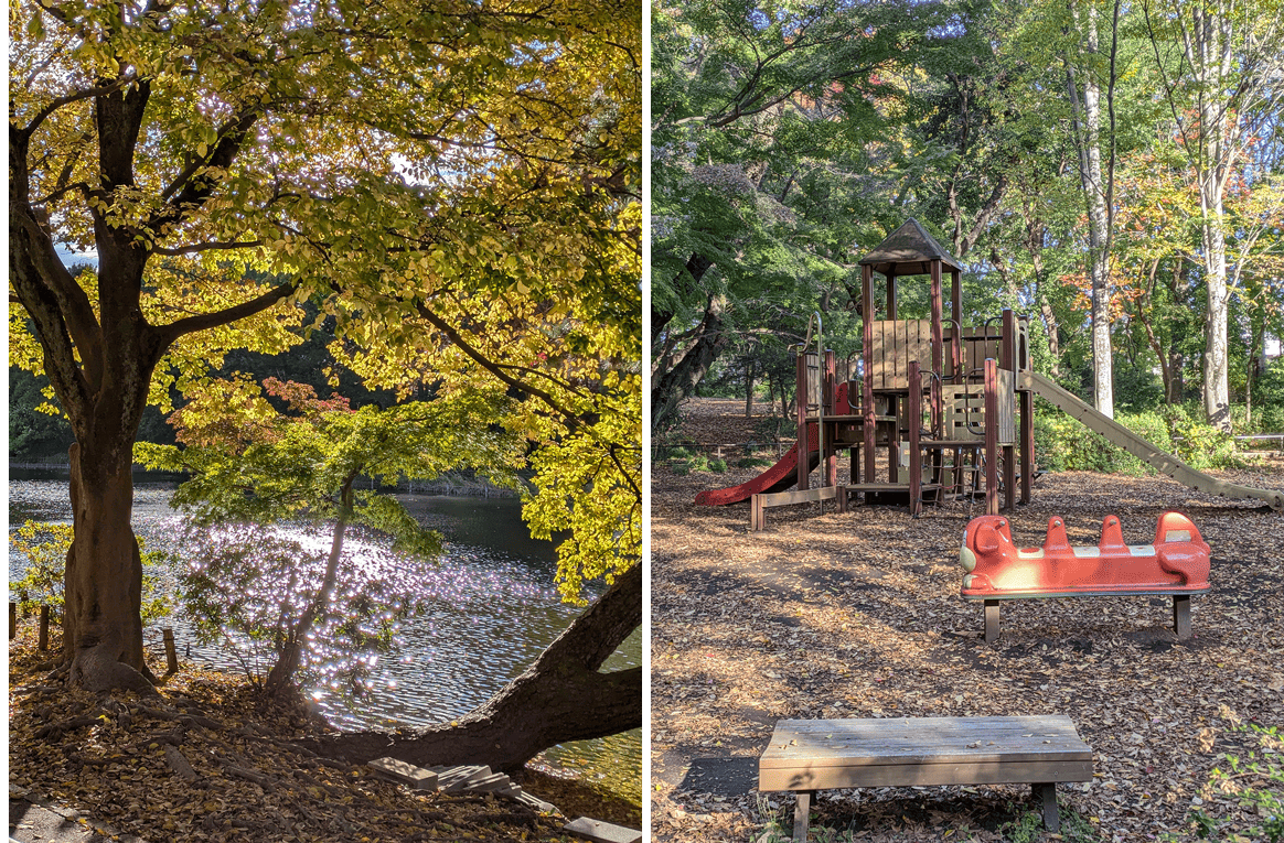 石神井公園イメージ
