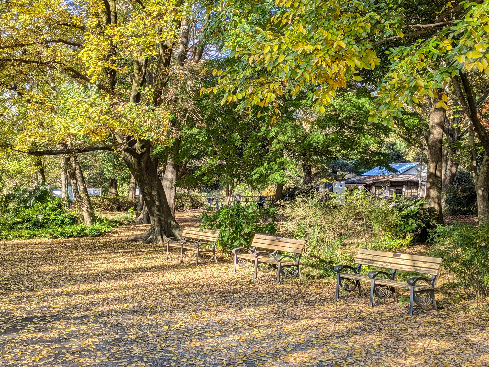 石神井公園エリア2