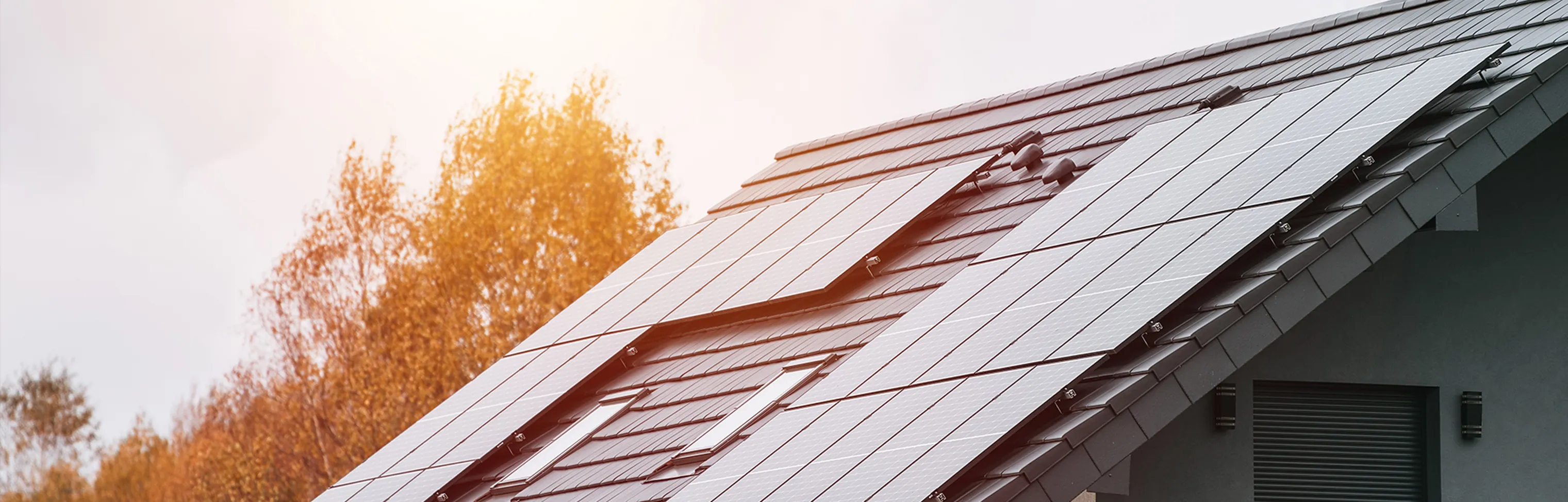 太陽光パネル搭載の一戸建て特集