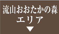 流山おおたかの森