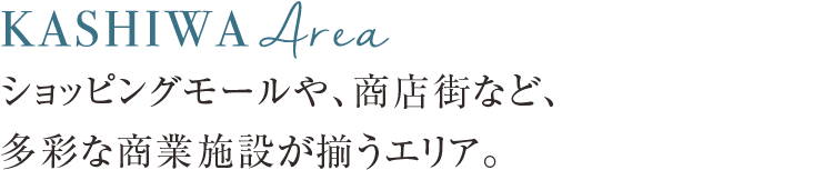 【柏】ショッピングモールや、商店街など、多彩な商業施設が揃うエリア。