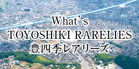 What's TOYOSHIKI RARELIES