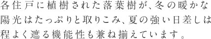 各住戸に植樹された落葉樹が、冬の暖かな陽光はたっぷりと取りこみ、夏の強い日差しは程よく遮る機能性も兼ね揃えています。